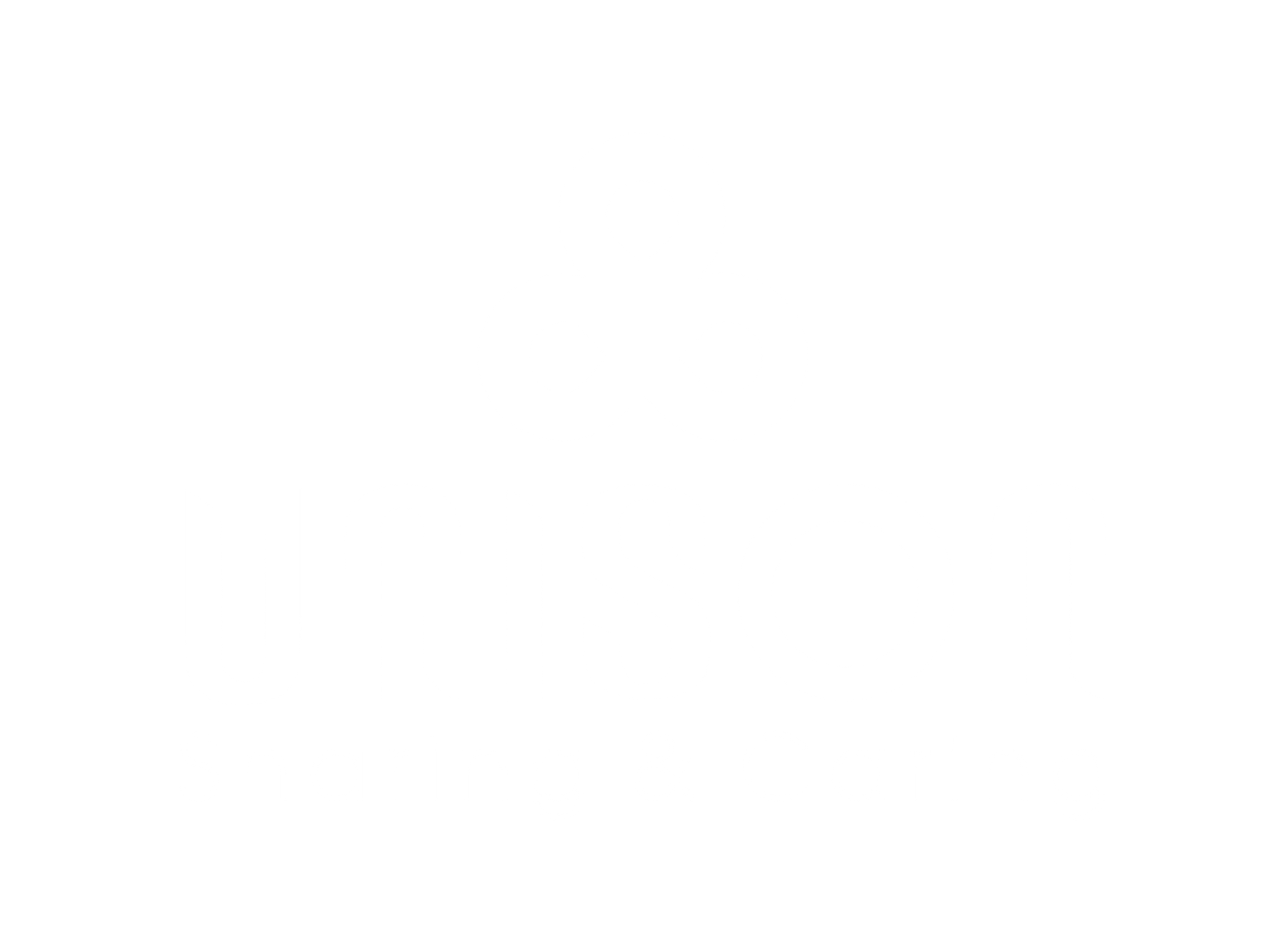UNISON VIỆT NAM